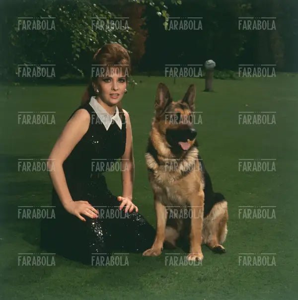 Gina Lollobrigida, Roma, 1967 - Farabola Immagine digitale
