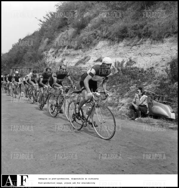 Gino Bartali, Tour de France, 1953 - Farabola Immagine digitale