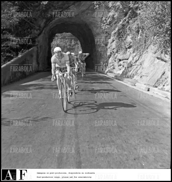 Gino Bartali, Tre Valli Varesine, 1953 - Farabola Immagine digitale