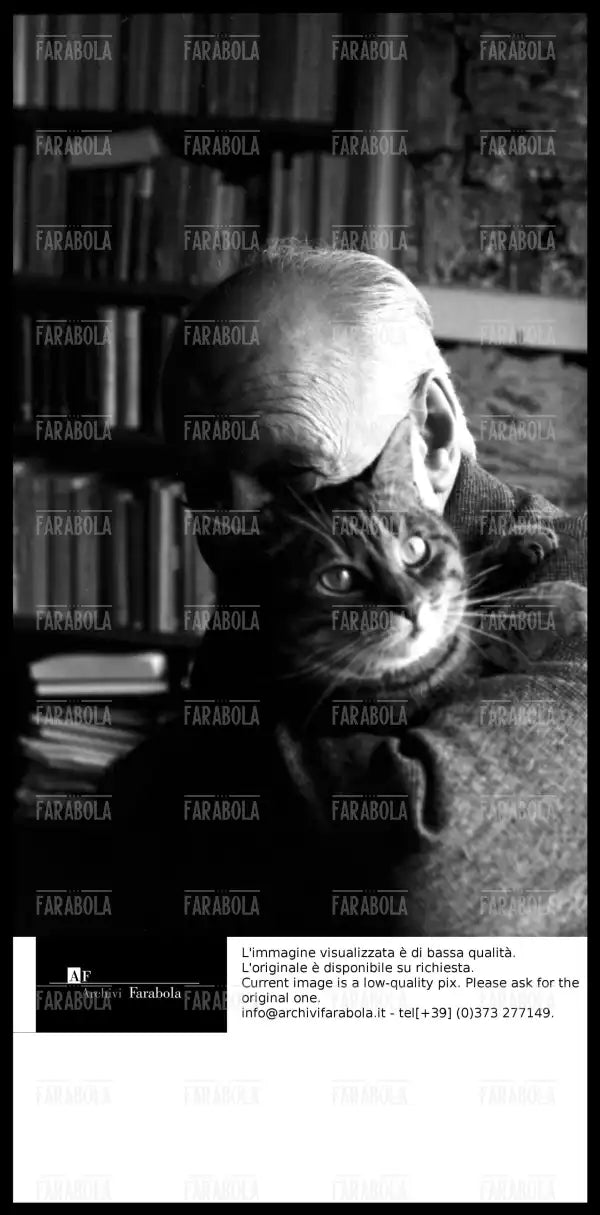 Giuseppe Ungaretti con il suo gatto, 1963 - Farabola Immagine digitale