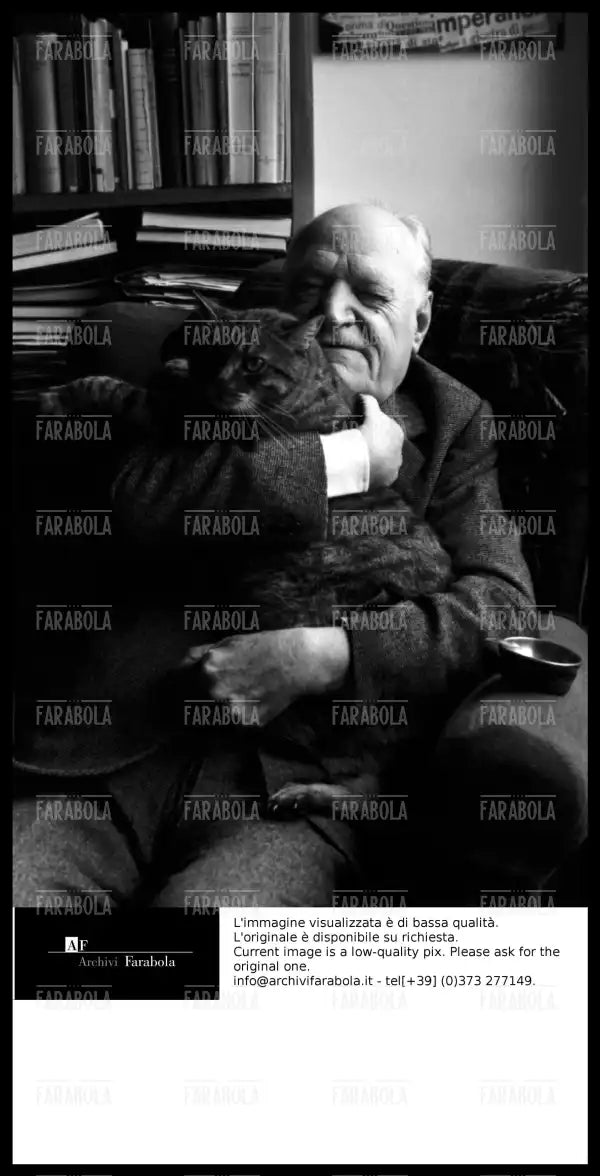 Giuseppe Ungaretti con il suo gatto, Roma, 1963 - Farabola Immagine digitale