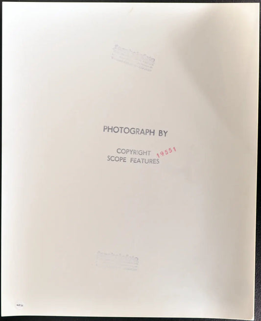 Gufo e pupazzo Ft 35379 - Stampa 30x40 cm - Farabola Stampa ai sali d'argento