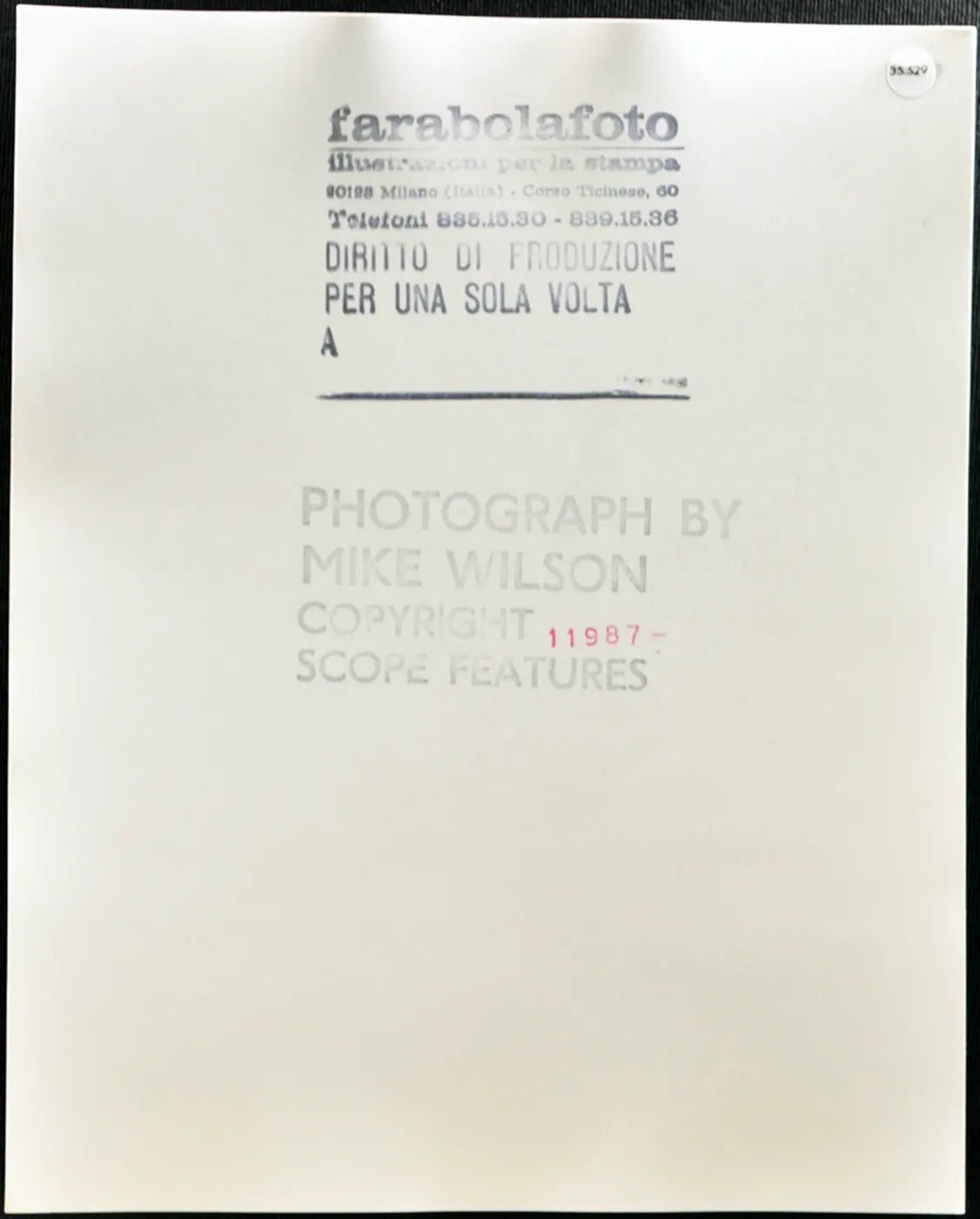 Jayne Gibbs Modella anni 80 Ft 35529 - Stampa 20x25 cm - Farabola Stampa ai sali d'argento