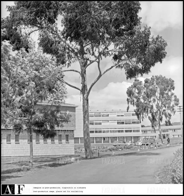 La scuola italiana ad Addis Abeba, 1958 - Farabola Immagine digitale