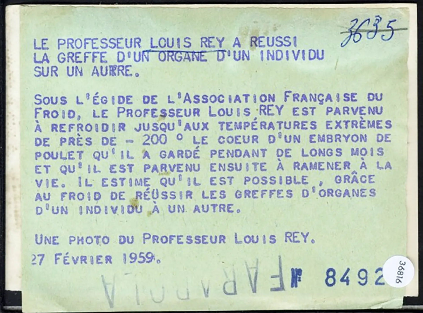 Louis Rey pioniere crioconservazione 1959 Ft 36816 - Stampa 13x9 cm - Farabola Stampa ai sali d'argento