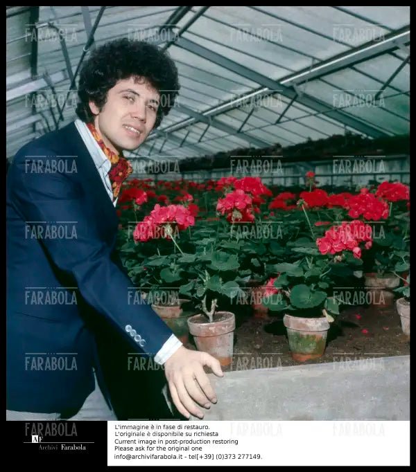 Lucio Battisti, anni 60 - Farabola Immagine digitale