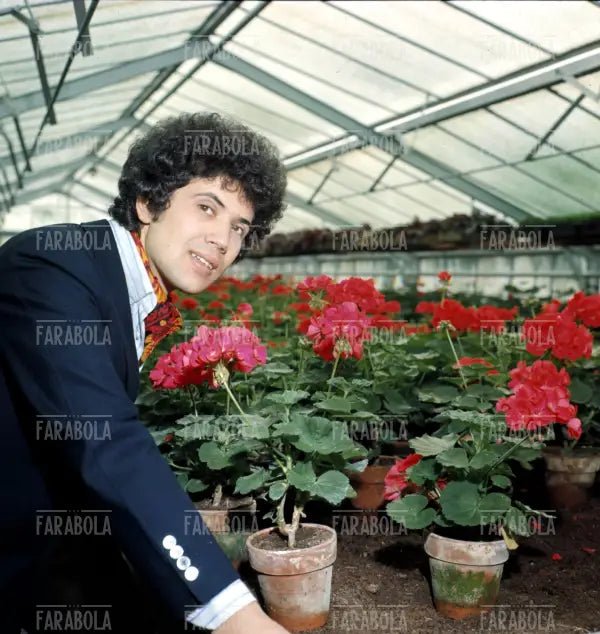 Lucio Battisti, anni 60 - Farabola Immagine digitale