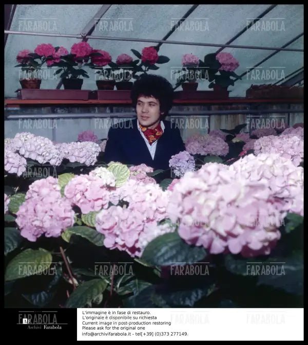 Lucio Battisti, anni 60 - Farabola Immagine digitale