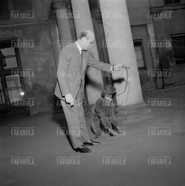 Lucio Fontana con il suo cane, Milano, 1959 - Farabola Immagine digitale