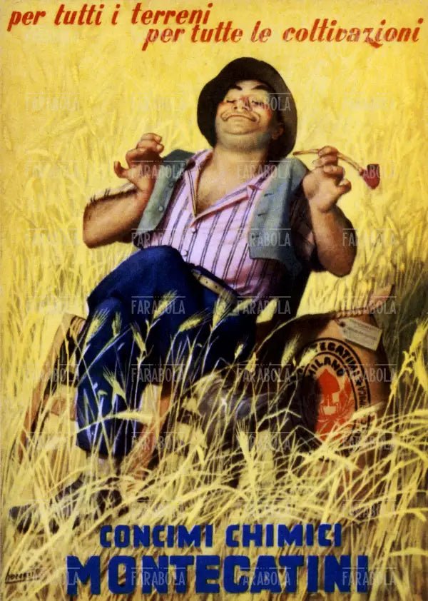 Manifesto pubblicitario dei concimi chimici Montecatini, anni 40 - Farabola Immagine digitale