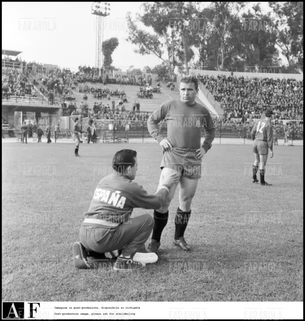 Mondiali di calcio in Cile, Brasile vs Spagna, 1962 - Farabola Immagine digitale