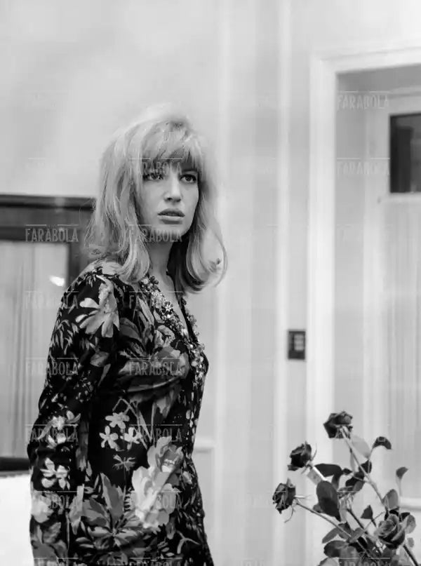 Monica Vitti, Festival di Cannes, 1966 - Farabola Immagine digitale