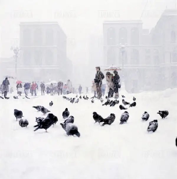 Nevicata a Milano, piazza del Duomo, 1985 - Farabola Immagine digitale