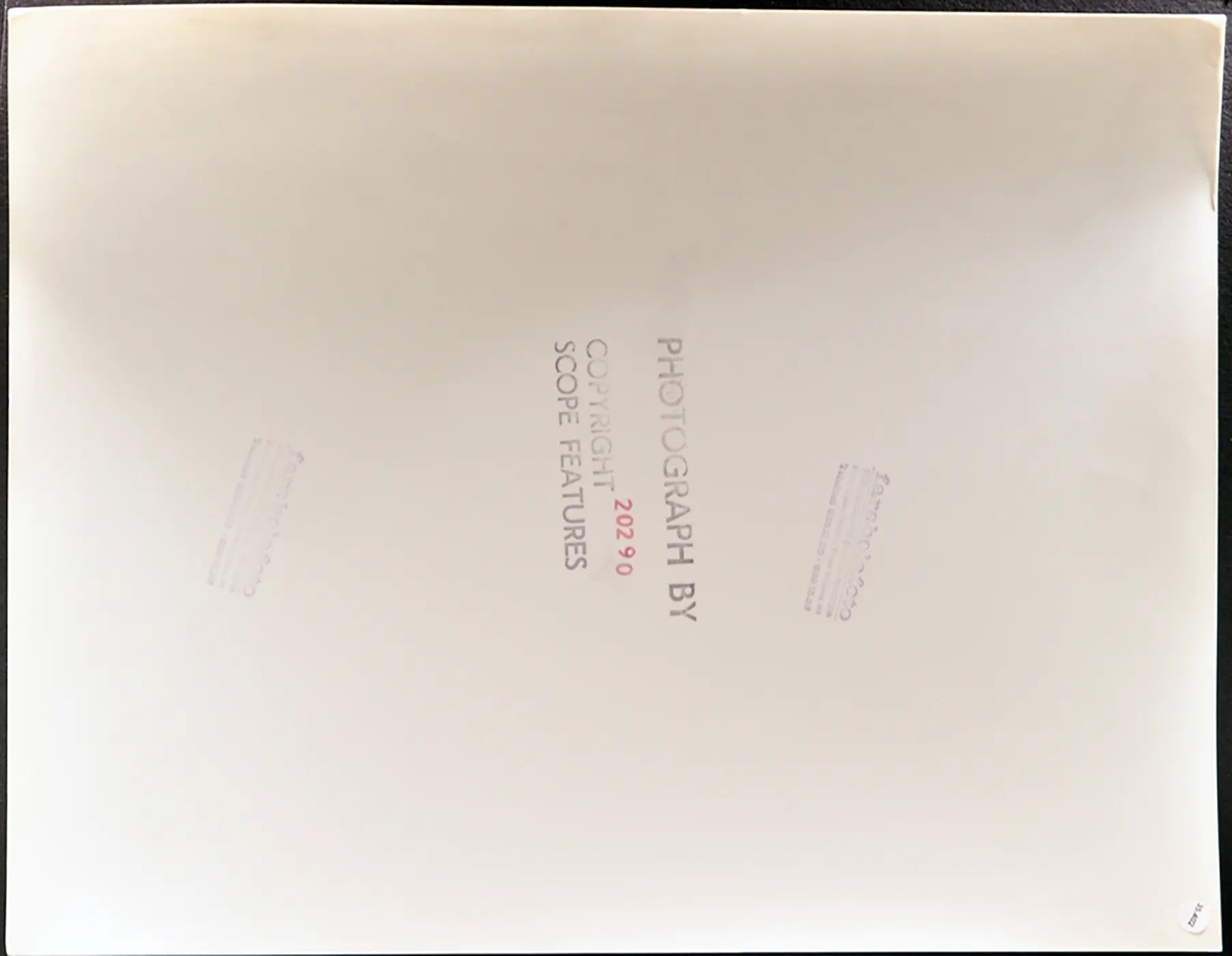 Puledro di razza Caspian Ft 35402 - Stampa 30x34 cm - Farabola Stampa ai sali d'argento
