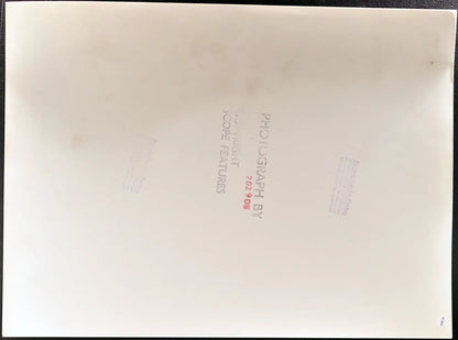 Puledro di razza Caspian Ft 35403 - Stampa 30x34 cm - Farabola Stampa ai sali d'argento