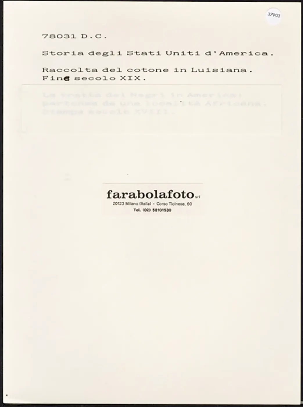 Raccolta del cotone in Louisiana fine XIX sec. Ft 37903 - Stampa 24x18 cm - Farabola Stampa ai sali d'argento (anni 90)