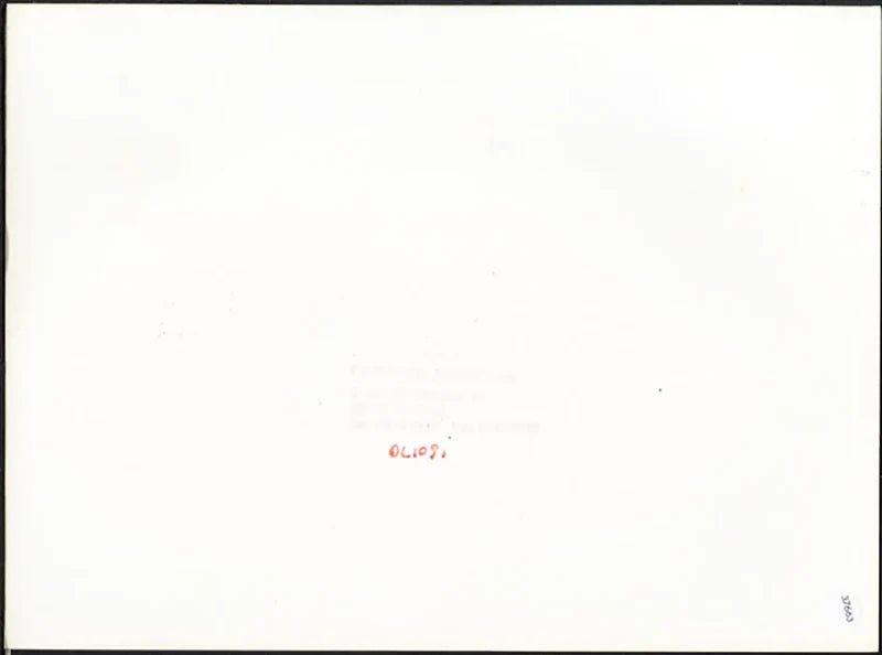 Riunificazione della Germania 1990 Ft 37663 - Stampa 24x18 cm - Farabola Stampa ai sali d'argento