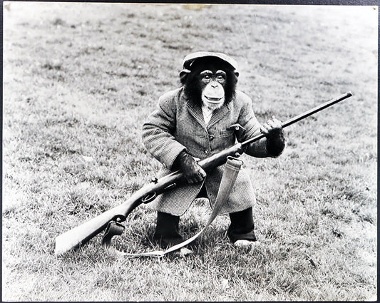 Scimpanzé cacciatore Ft 35420 - Stampa 30x34 cm - Farabola Stampa ai sali d'argento