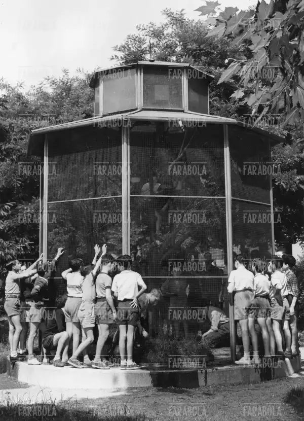 Scuola speciale di via Giacosa 1952 - Farabola Immagine digitale