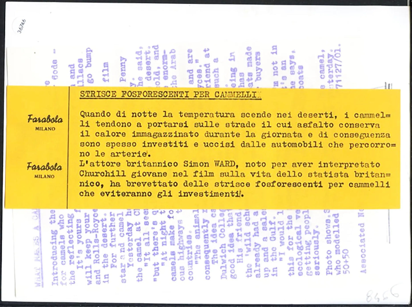 Simon Ward e i cammelli 1997 Ft 36746 - Stampa 21x15 cm - Farabola Stampa ai sali d'argento