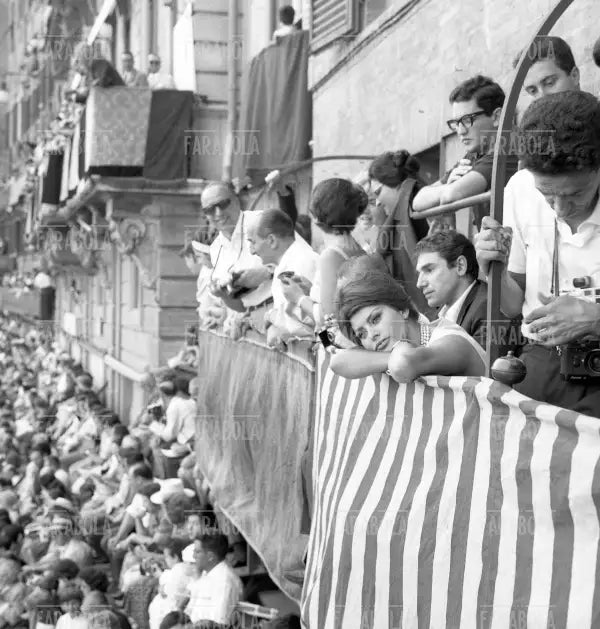 Sophia Loren al Palio di Siena, 1961 - Farabola Immagine digitale