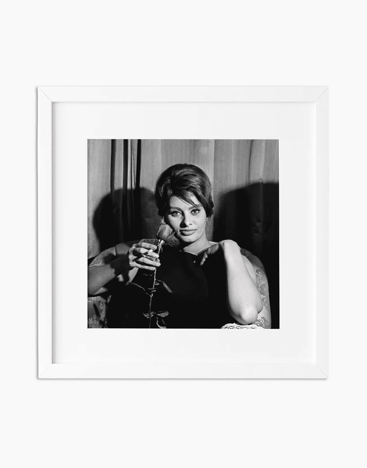 Sophia Loren con una rosa, 1960 — stampa fine art con cornice bianca