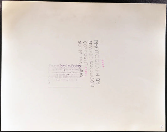 Unicorno Ft 35400 - Stampa 27x37 cm - Farabola Stampa ai sali d'argento