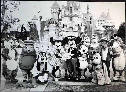 Anaheim Parco Disneyland anni 60 Ft 215 - Stampa 27x37 cm - Farabola Stampa ai sali d'argento
