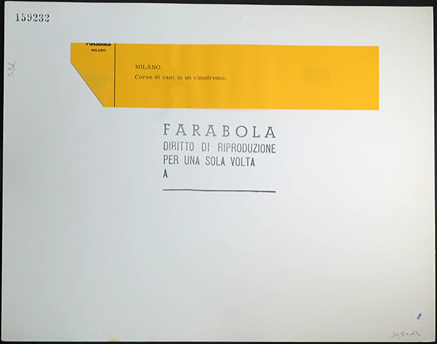 Corse di cani a Milano Ft 565 - Stampa 30x24 cm - Farabola Stampa ai sali d'argento