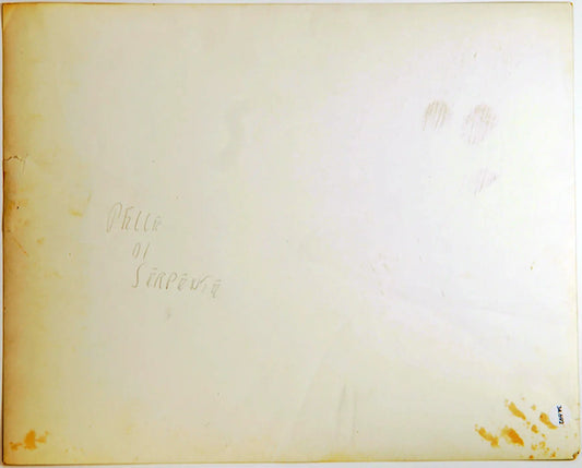 Anna Magnani Marlon Brando Ft 34692 - Stampa 20x25 cm - Farabola Stampa ai sali d'argento