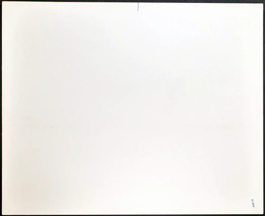 Barbra Streisand Film Funny Lady 1975 Ft 35209 - Stampa 20x25 cm - Farabola Stampa ai sali d'argento