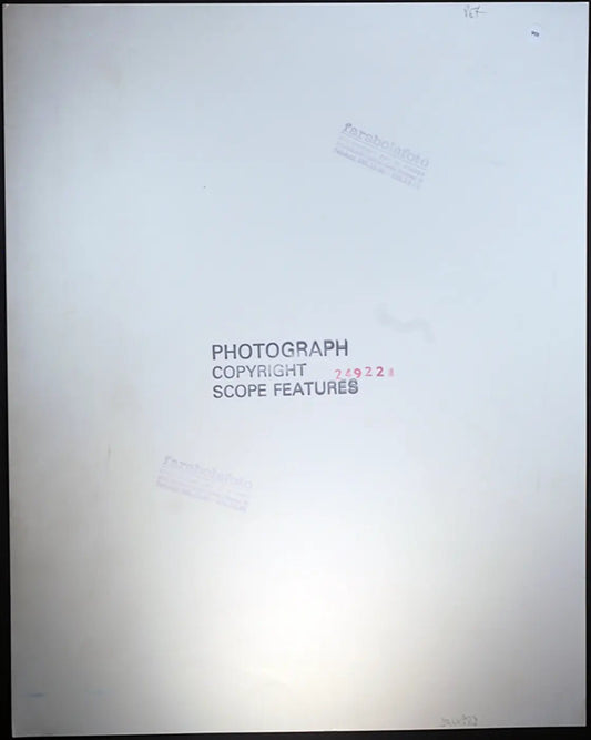 Brigitte Nielsen anni 80 Ft 901 - Stampa 27x37 cm - Farabola Stampa ai sali d'argento