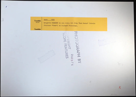 Brigitte Nielsen Film Red Sonia 1985 Ft 893 - Stampa 27x37 cm - Farabola Stampa ai sali d'argento