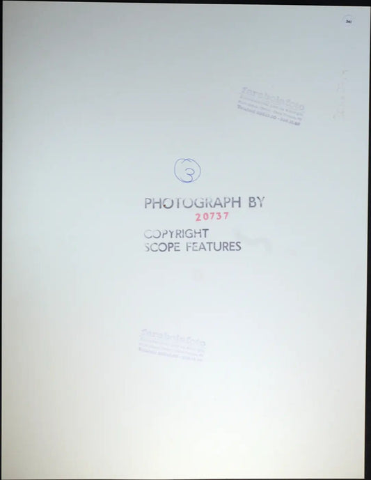 Film Tv John e Yoko 1985 Ft 241 - Stampa 24x37 cm - Farabola Stampa ai sali d'argento