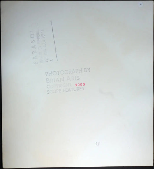 Cinema Terence Stamp anni 70 Ft 62 - Stampa 30x33 cm - Farabola Stampa ai sali d'argento