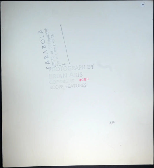 Terence Stamp anni 70 Ft 63 - Stampa 30x33 cm - Farabola Stampa ai sali d'argento
