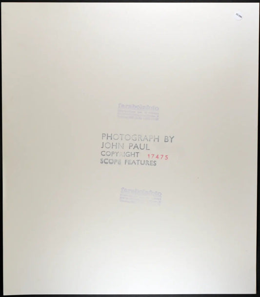 Claudia Udy anni 80 Ft 35096 - Stampa 24x37 cm - Farabola Stampa ai sali d'argento