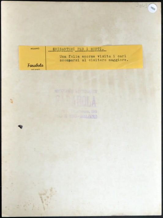 Crisantemi al Cimitero anni 60 Ft 1922 - Stampa 24x18 cm - Farabola Stampa ai sali d'argento