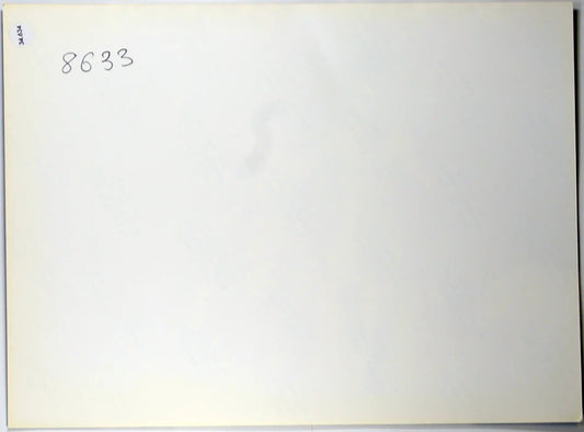 Film Chariot of Fire 1981 Ft 34634 - Stampa 24x18 cm - Farabola Stampa ai sali d'argento