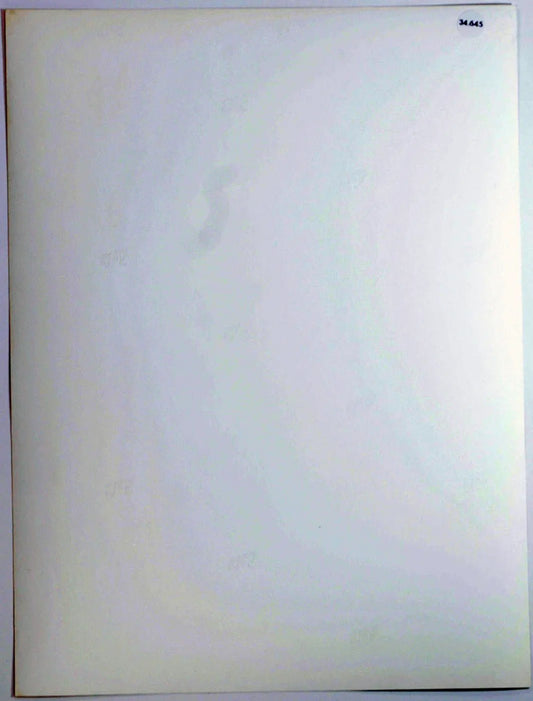 Film Il Prestanome 1976 Ft 34645 - Stampa 24x18 cm - Farabola Stampa ai sali d'argento