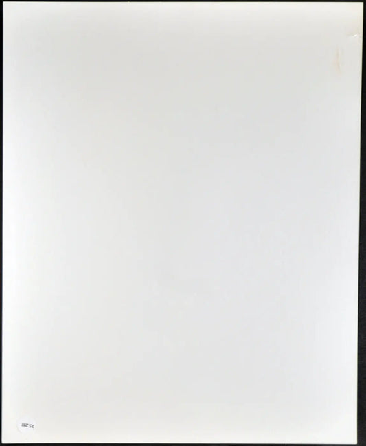 Film Rescue from Gilligan's Island Ft 35281 - Stampa 20x25 cm - Farabola Stampa ai sali d'argento