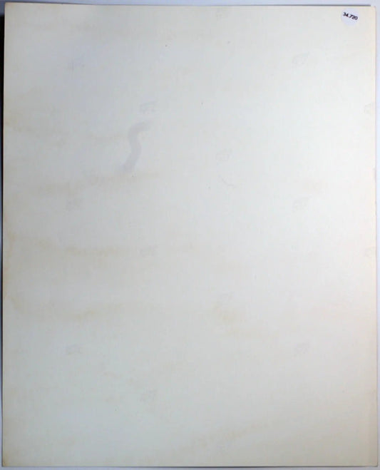 Film Ricche e Famose Ft 34720 - Stampa 20x25 cm - Farabola Stampa ai sali d'argento