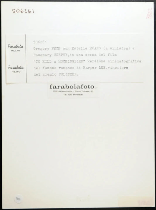 Gregory Peck Film Il buio oltre la siepe Ft 1662 - Stampa 24x18 cm - Farabola Stampa ai sali d'argento