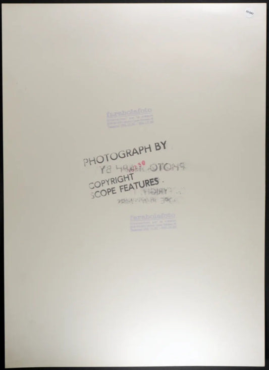 John Travolta Film Staying Alive Ft 35043 - Stampa 27x37 cm - Farabola Stampa ai sali d'argento