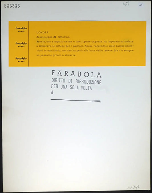Cane fattorino anni 60 Ft 689 - Stampa 30x24 cm - Farabola Stampa ai sali d'argento