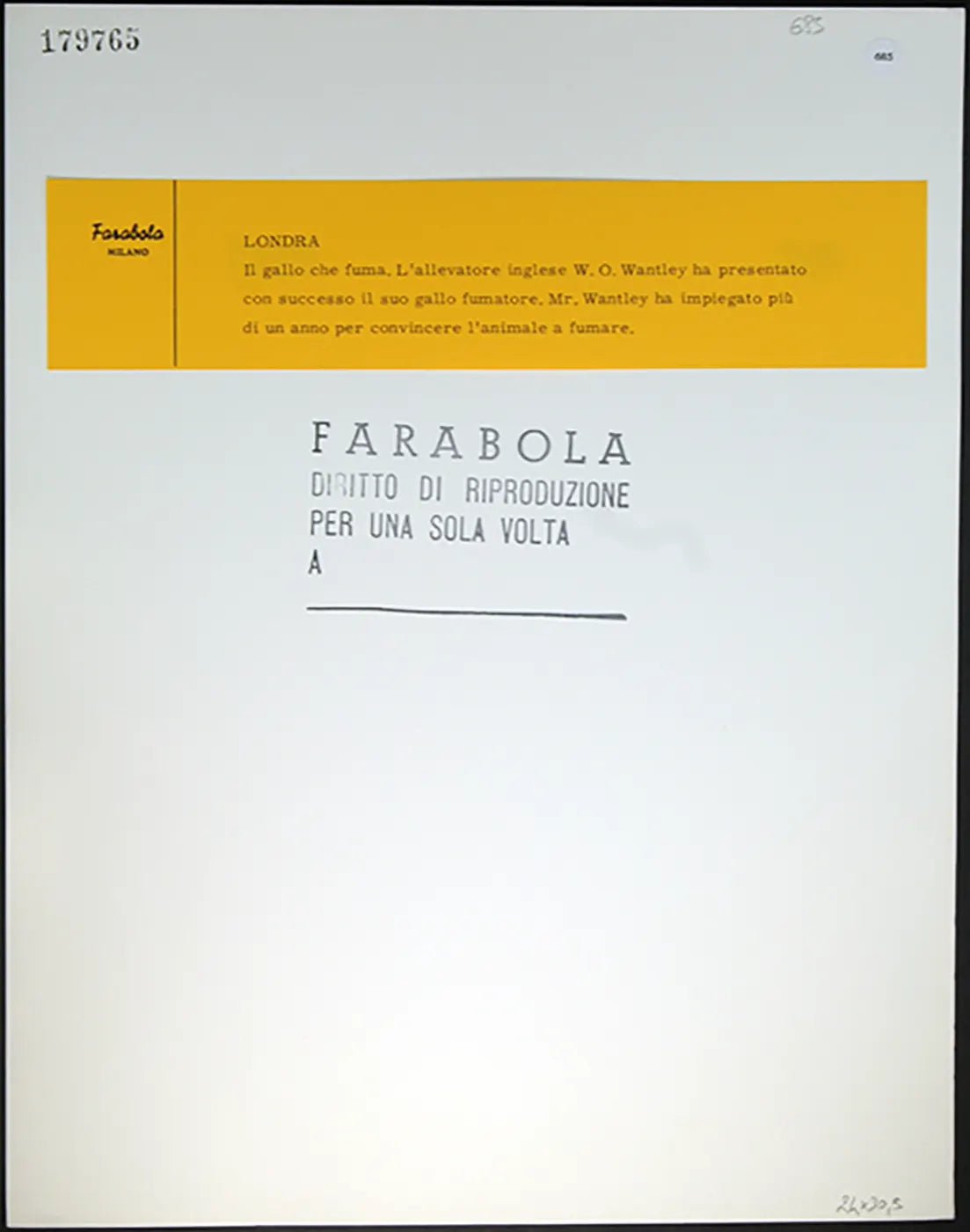 Gallo fumatore anni 60 Ft 685 - Stampa 30x24 cm - Farabola Stampa ai sali d'argento