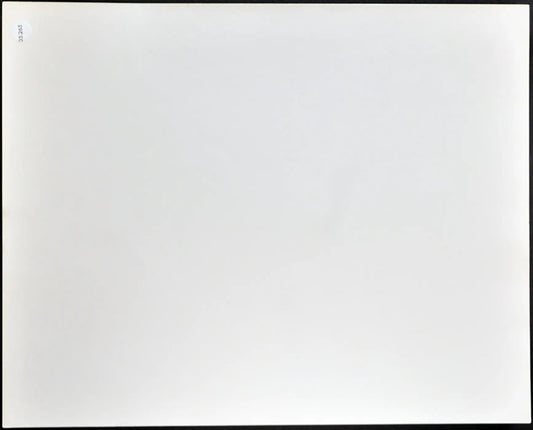 Mariangela Melato Ryan O'Neal 1981 Ft 35265 - Stampa 20x25 cm - Farabola Stampa ai sali d'argento
