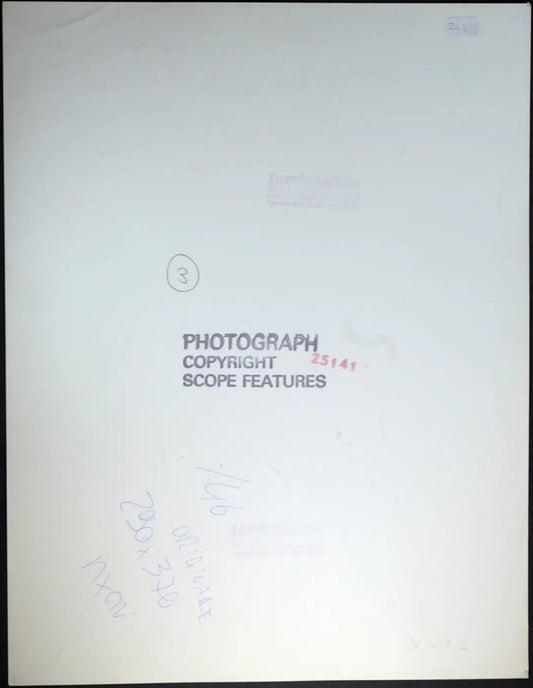 Madonna anni 80 Ft 244 - Stampa 27x37 cm - Farabola Stampa ai sali d'argento