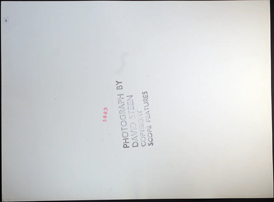 Rod Stewart si fa un massaggio Ft 65 - Stampa 27x37 cm - Farabola Stampa ai sali d'argento