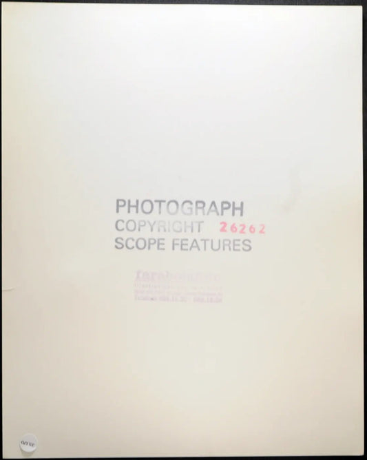 Modella anni 70 Ft 35170 - Stampa 20x25 cm - Farabola Stampa ai sali d'argento